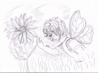 Amid the daisies